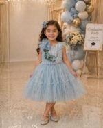Blue Tulle Dress